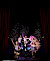 ROYAL Theatre & Club
