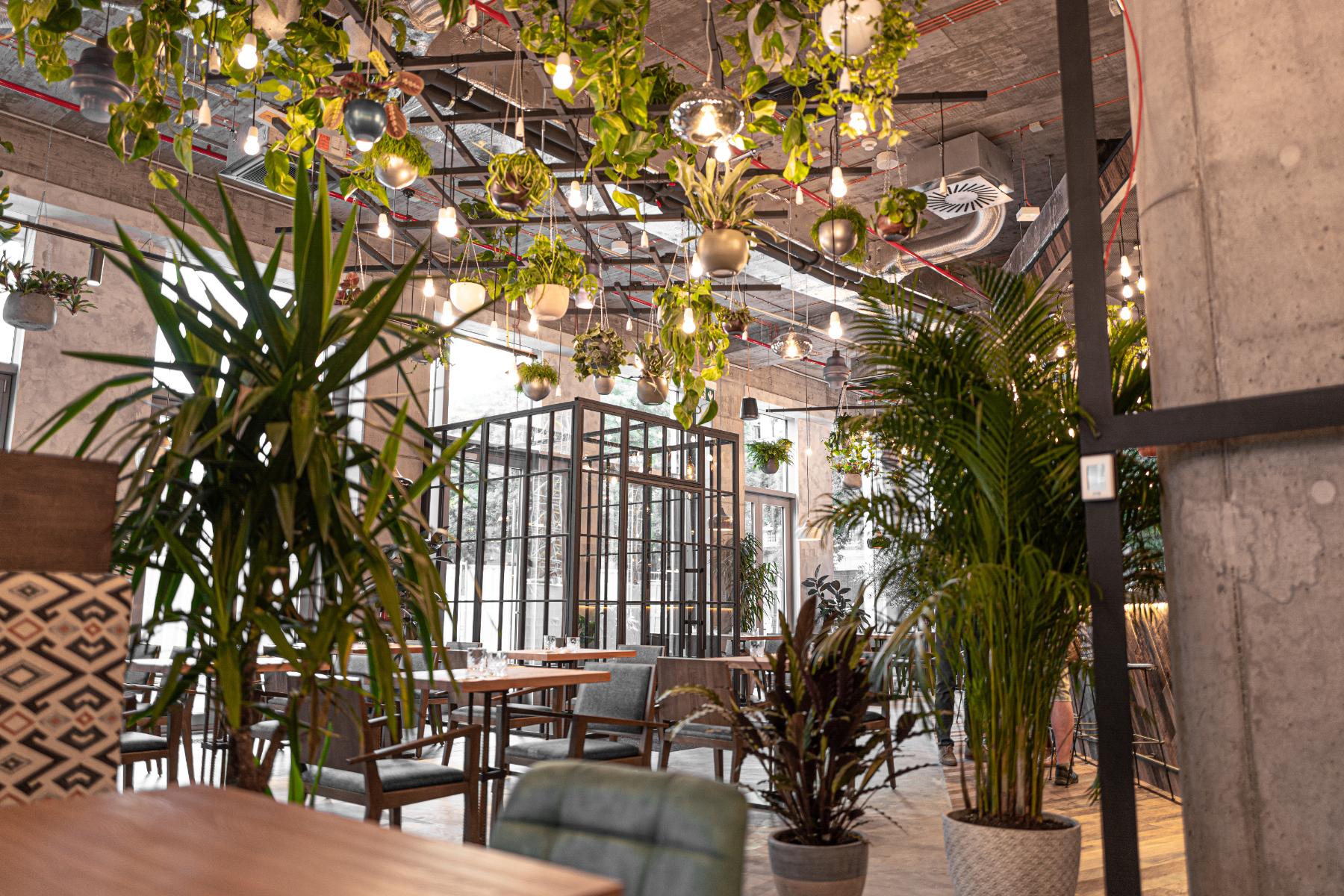 Spojka Events - Spojka Karlin